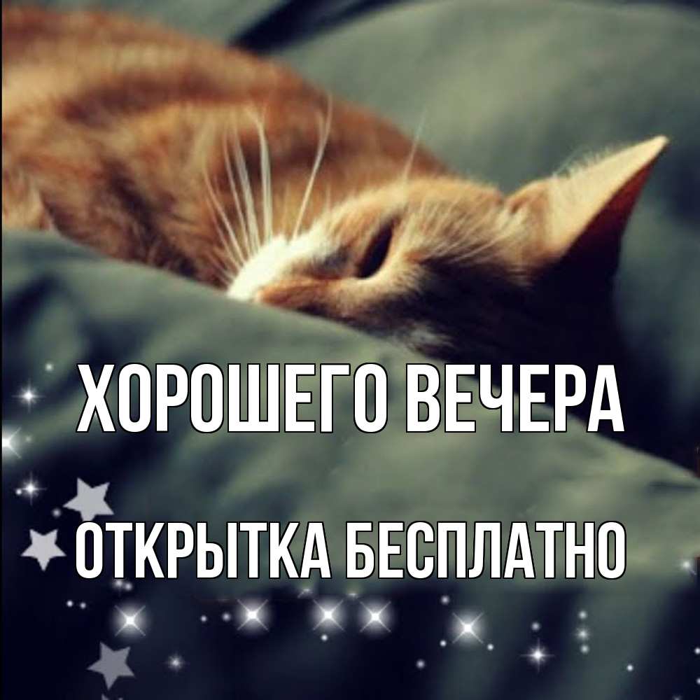 Открытка  для любимых и родных. открытка, Хорошего вечера  