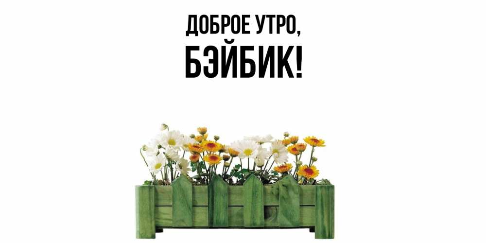 Открытка  для любимых и родных. бэйбик, Доброе утро  