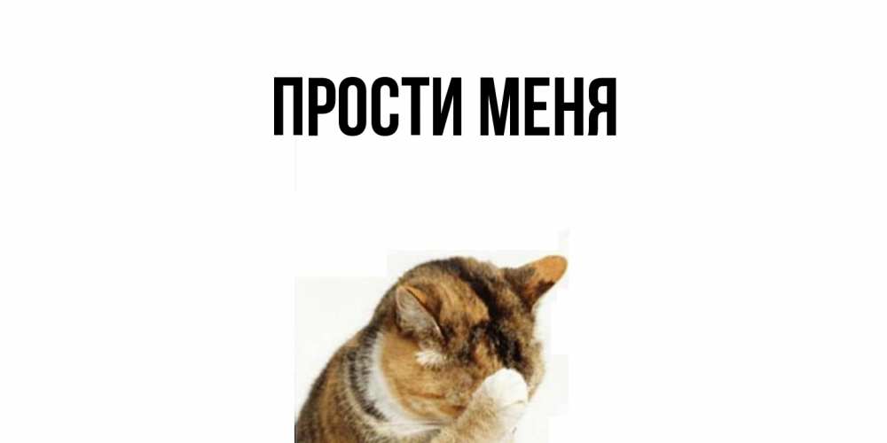 Картинка Прости меня, 