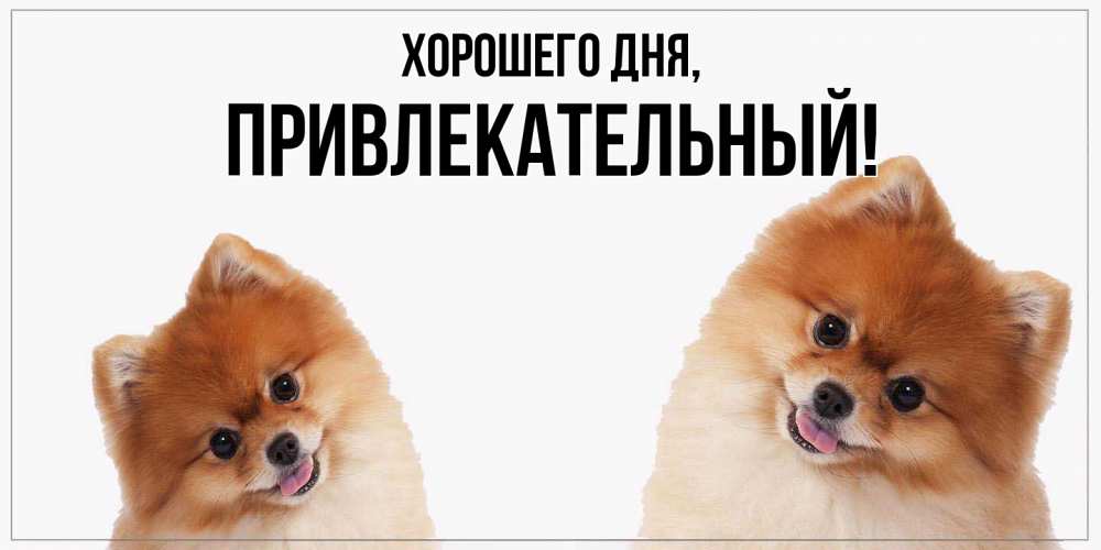 Открытка  для любимых и родных. привлекательный, Хорошего дня  