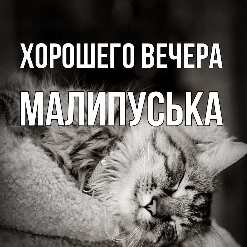 Открытка с именем, малипуська, Хорошего вечера