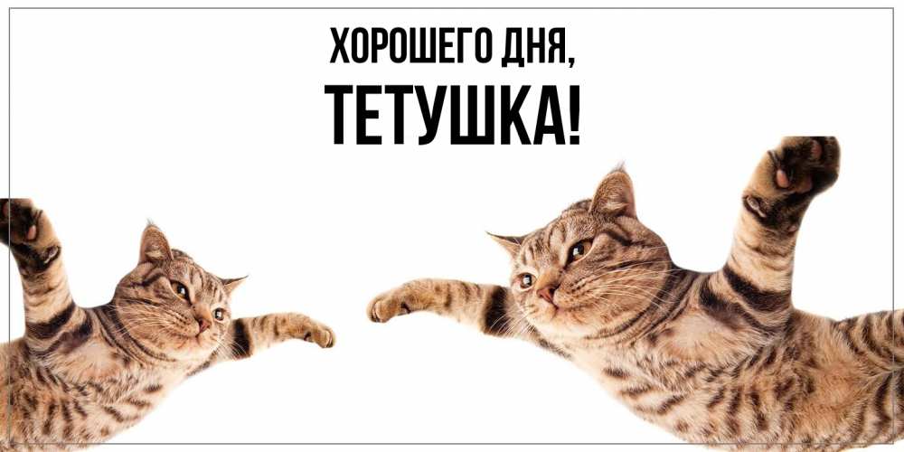 Открытка  для любимых и родных. Тетушка, Хорошего дня  