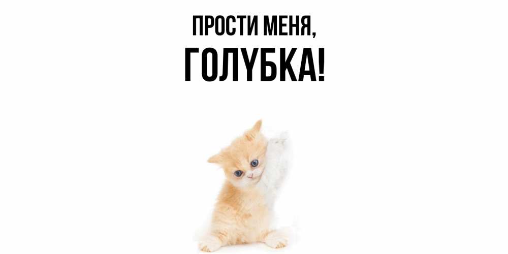 Открытка  для любимых и родных. голyбка, Прости меня  