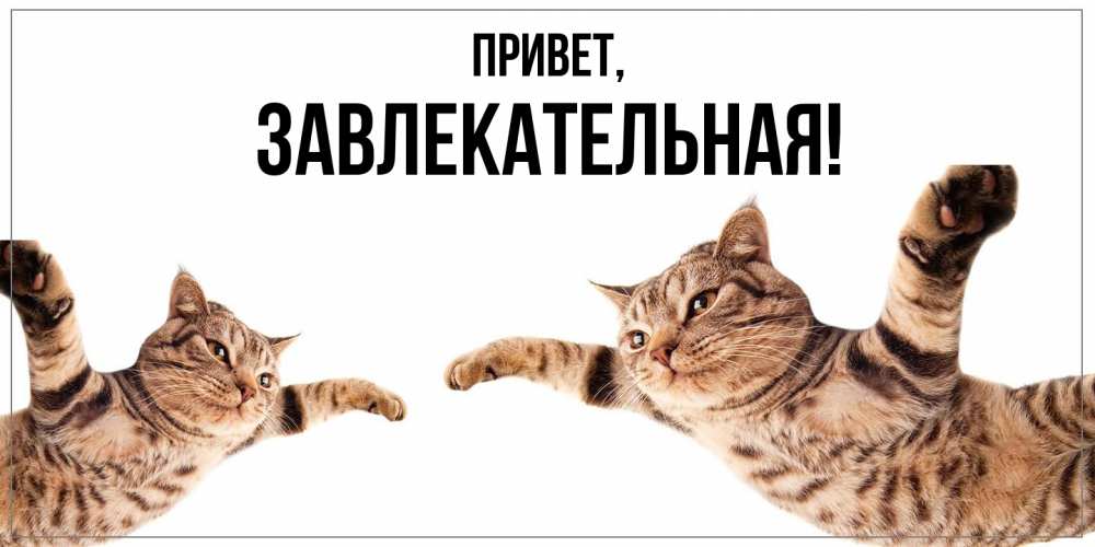 Открытка  для любимых и родных. завлекательная, Привет  
