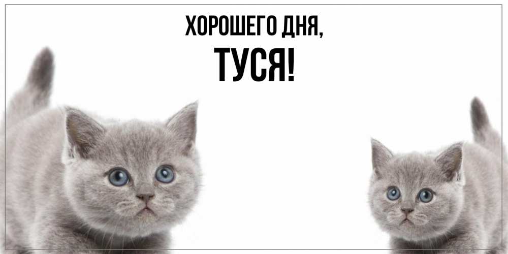 Открытка  для любимых и родных. туся, Хорошего дня  