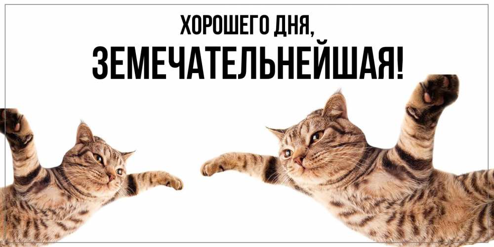 Открытка  для любимых и родных. земечательнейшая, Хорошего дня  