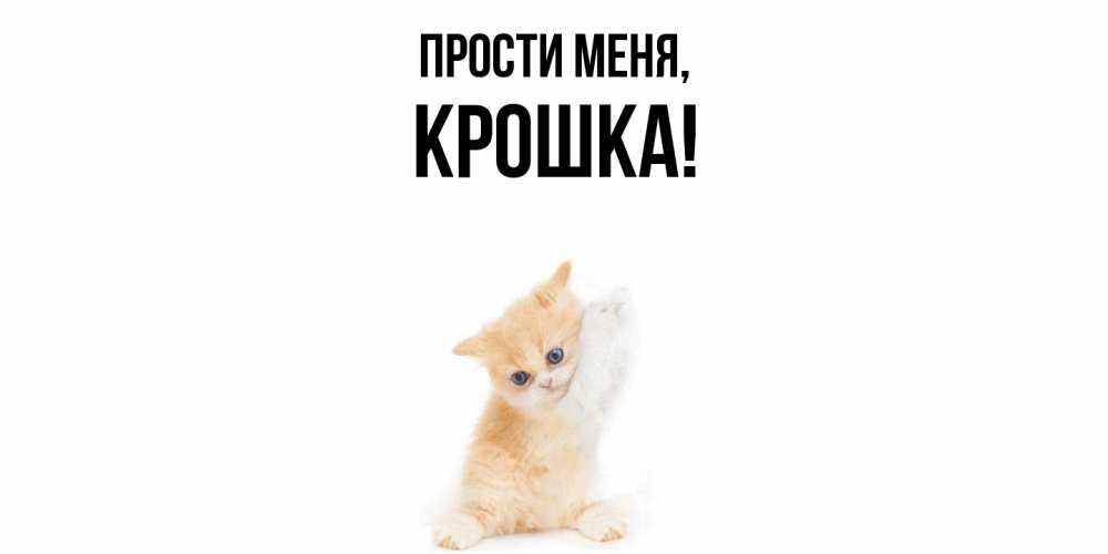 Открытка  для любимых и родных. крошка, Прости меня  