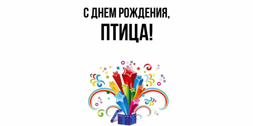 Открытка  для любимых и родных. птица, С днем рождения  