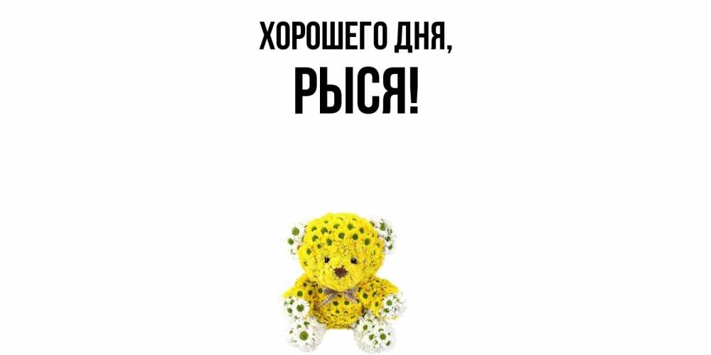 Открытка  для любимых и родных. рыся, Хорошего дня  