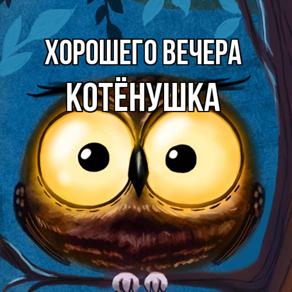 Открытка с именем, котёнушка, Хорошего вечера