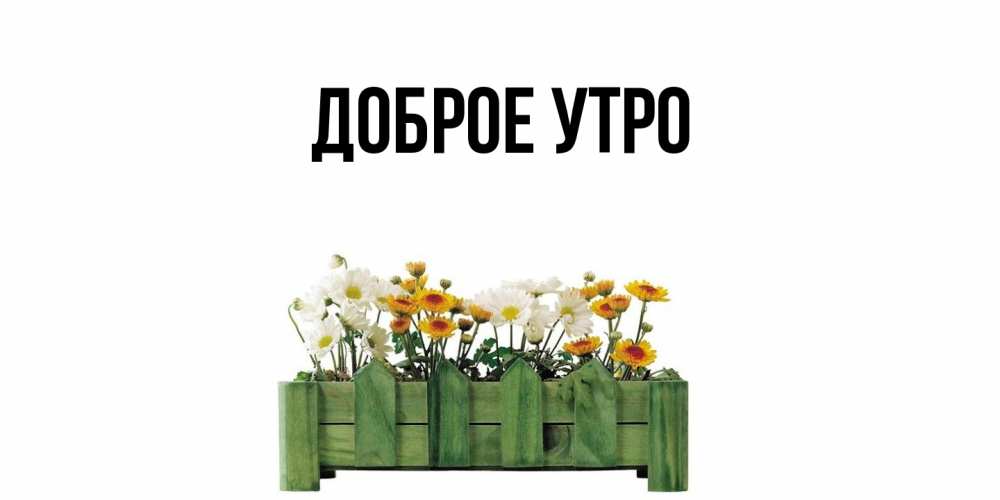 Открытка с подписью, открытка-бесплатно, Доброе утро