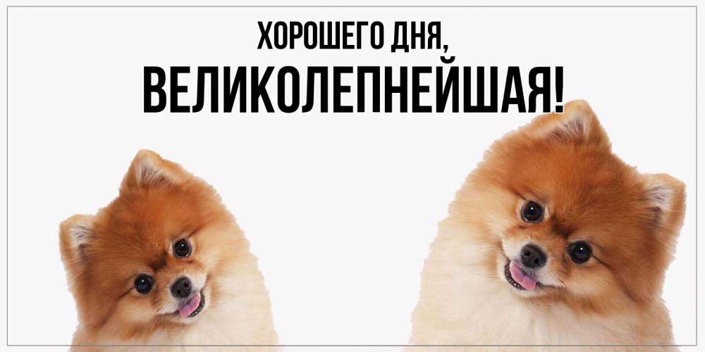 Открытка  для любимых и родных. великолепнейшая, Хорошего дня  