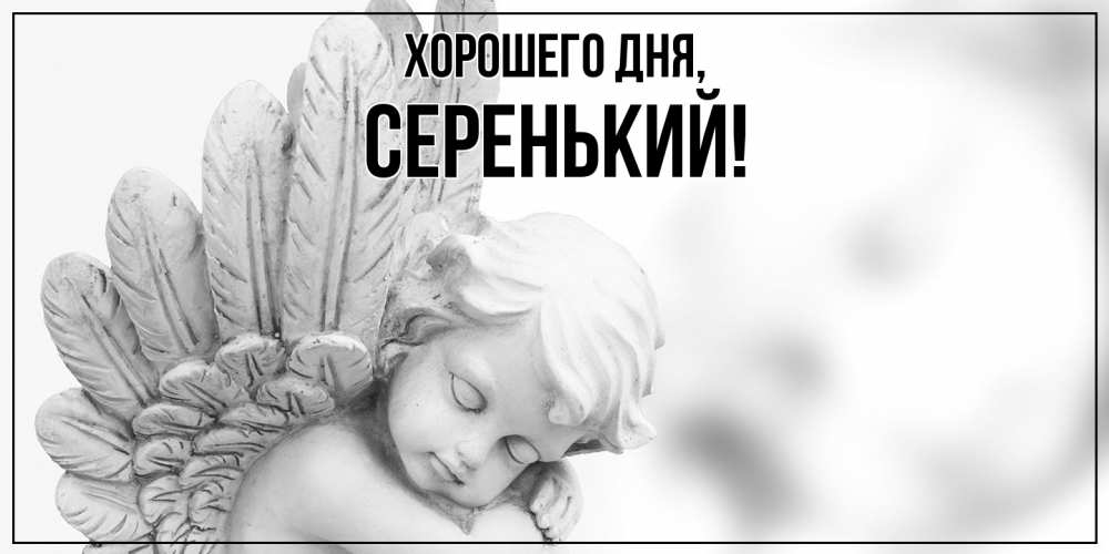 Открытка  для любимых и родных. серенький, Хорошего дня  