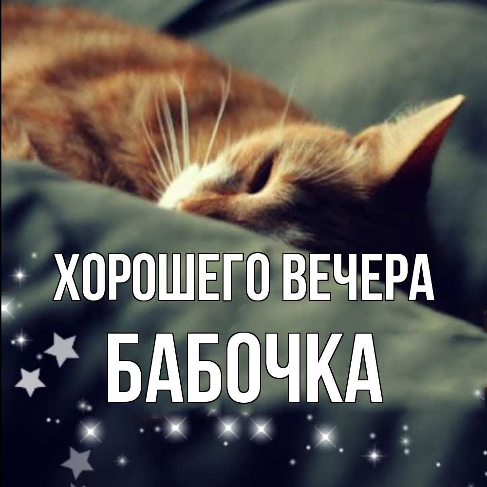 Картинка Хорошего вечера, бабочка
