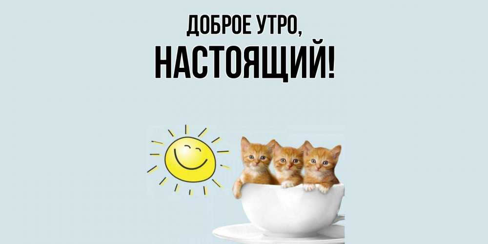 Открытка  для любимых и родных. настоящий, Доброе утро  