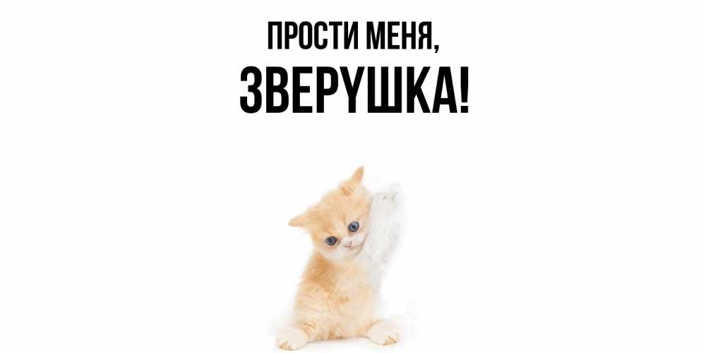 Картинка Прости меня, звеpyшка