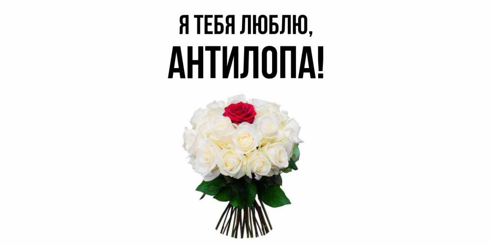 Открытка  для любимых и родных. антилопа, Я тебя люблю  