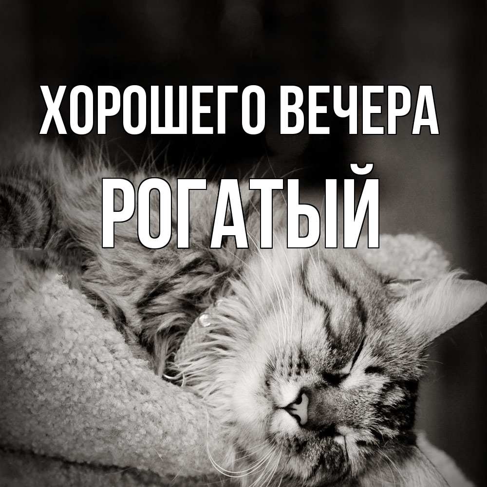 Картинка Хорошего вечера, рогатый