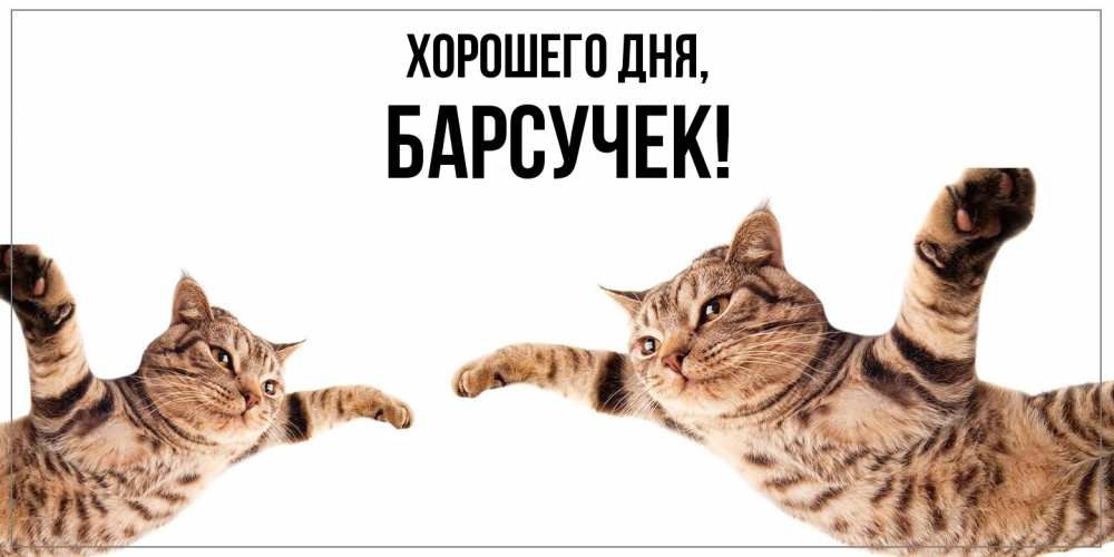 Открытка  для любимых и родных. барсучек, Хорошего дня  