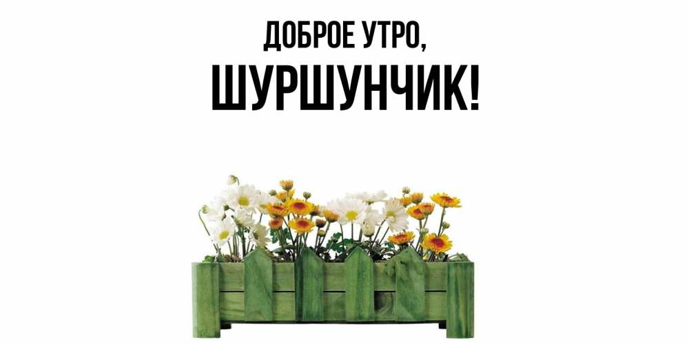 Картинка Доброе утро, шуршунчик