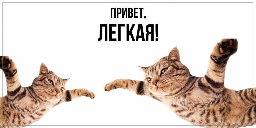 Открытка  для любимых и родных. легкая, Привет  