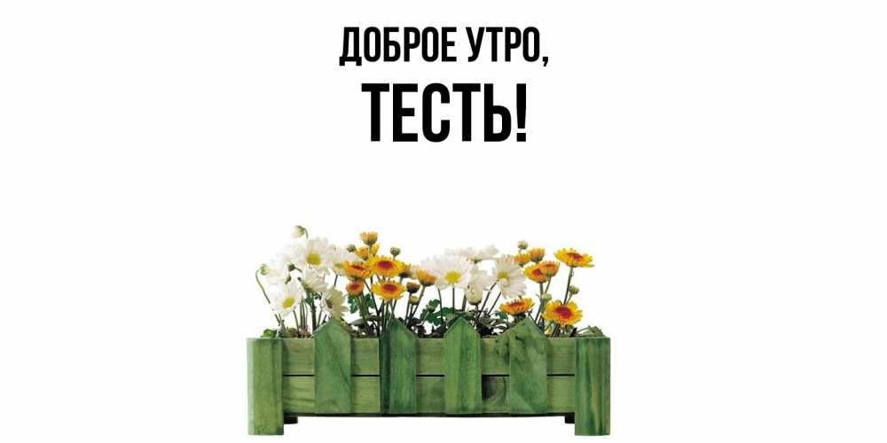 Открытка  для любимых и родных. Тесть, Доброе утро  