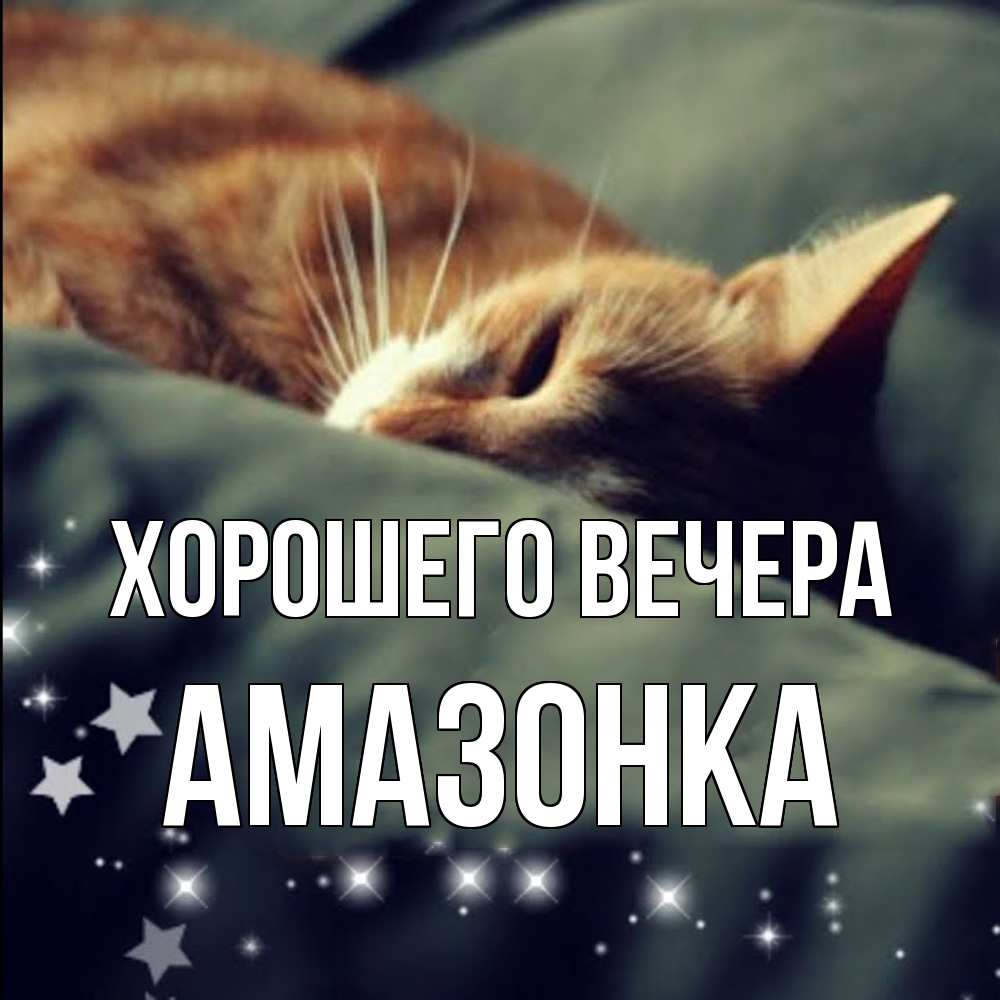 Картинка Хорошего вечера, амазонка