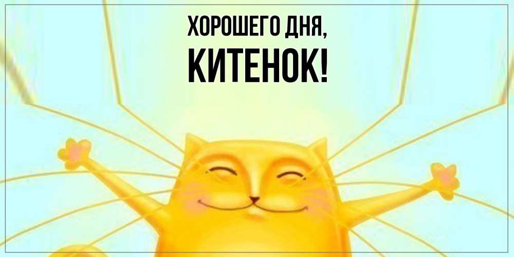 Открытка  для любимых и родных. китенок, Хорошего дня  