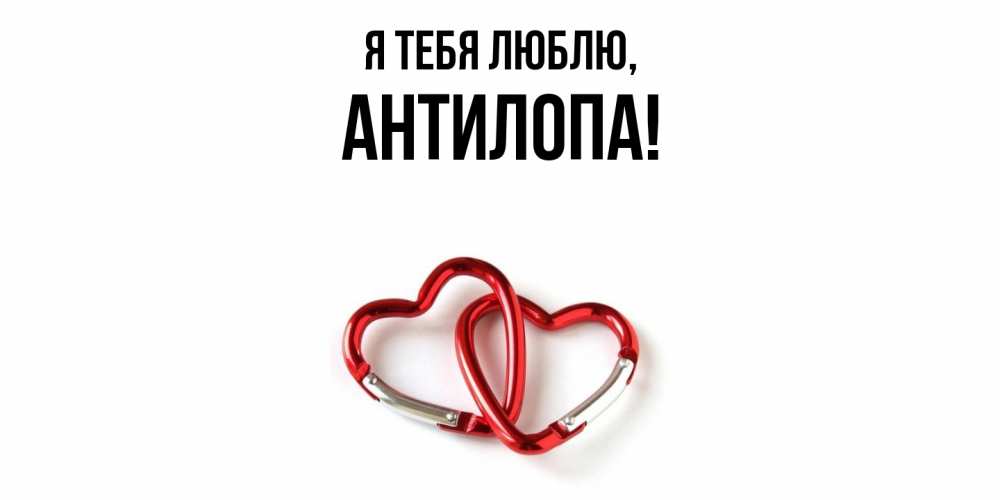 Открытка  для любимых и родных. антилопа, Я тебя люблю  
