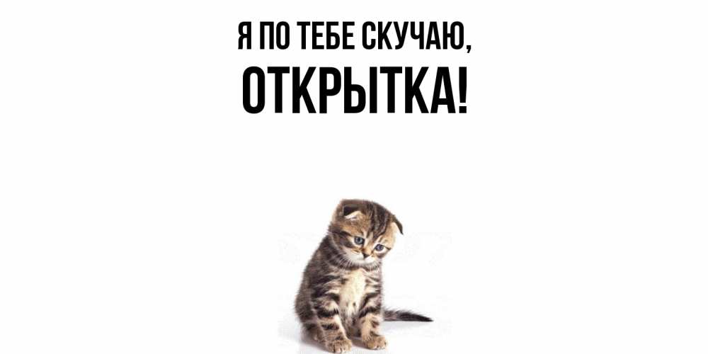 Открытка  для любимых и родных. открытка, Я по тебе скучаю  