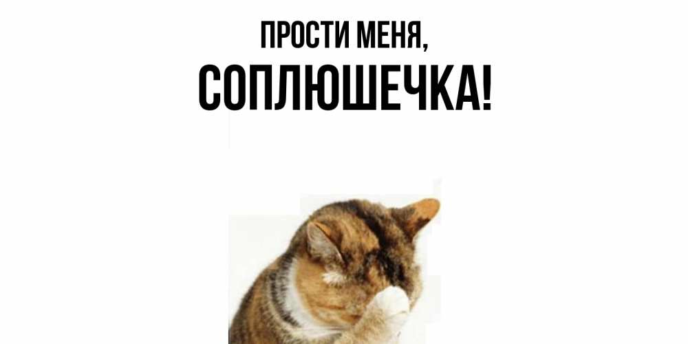 Открытка  для любимых и родных. соплюшечка, Прости меня  