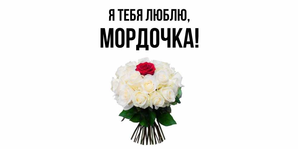 Открытка  для любимых и родных. мордочка, Я тебя люблю  