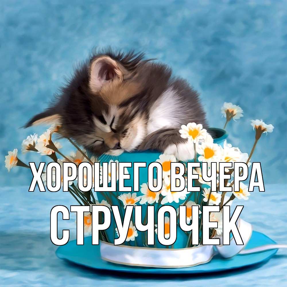 Картинка Хорошего вечера, стручочек