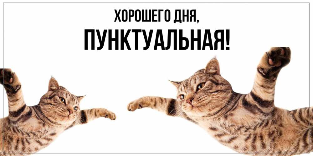 Открытка  для любимых и родных. пунктуальная, Хорошего дня  