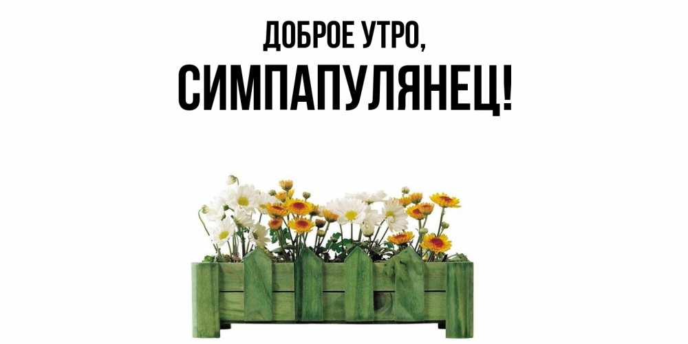 Открытка  для любимых и родных. симпапулянец, Доброе утро  