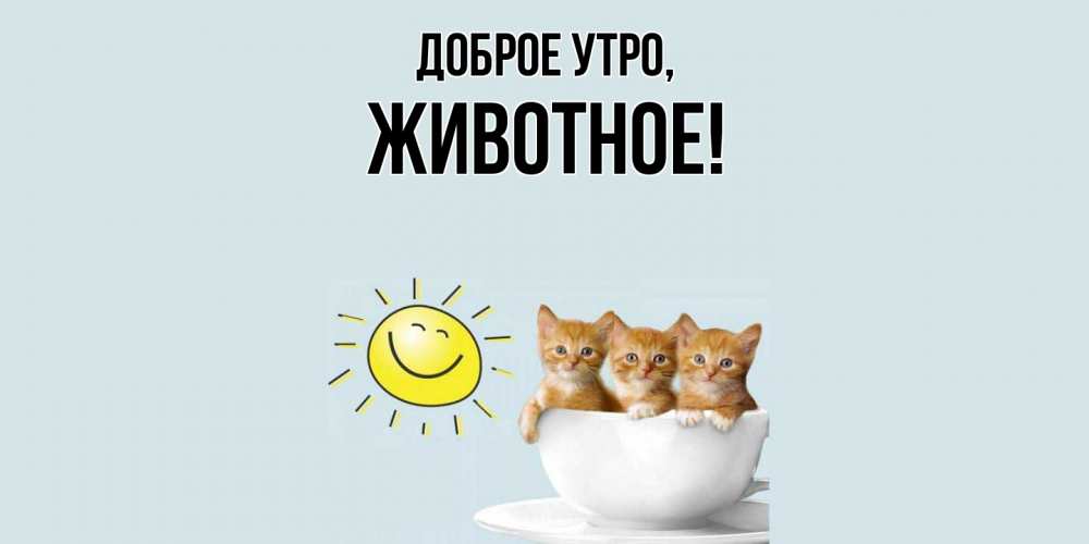 Открытка с именем, животное, Доброе утро