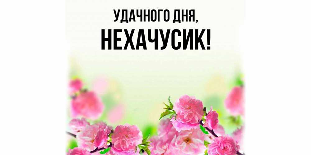 Открытка  для любимых и родных. нехачусик, Удачного дня  