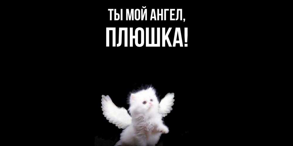 Открытка  для любимых и родных. плюшка, Ты мой ангел  