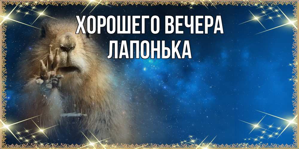 Открытка  для любимых и родных. лапонька, Хорошего вечера  