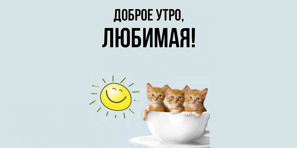 Картинка Доброе утро, Любимая
