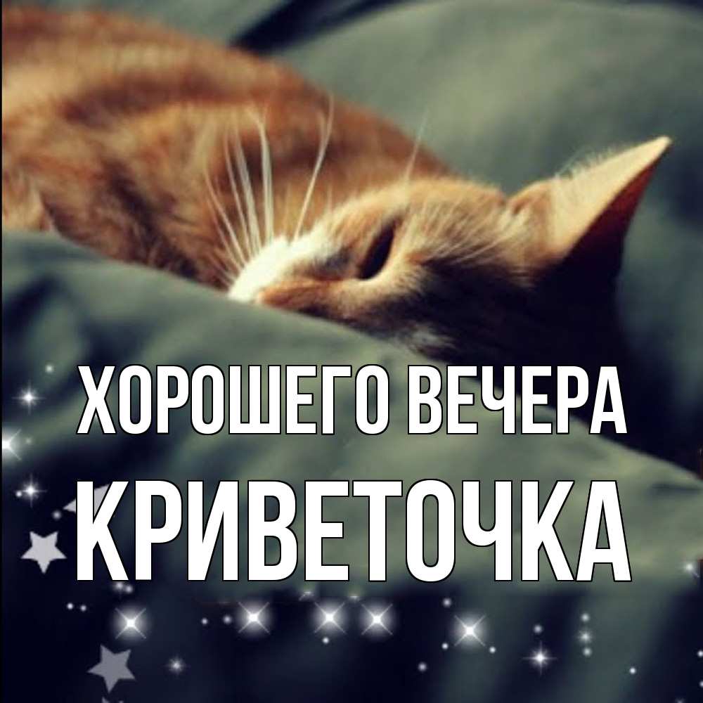 Открытка  для любимых и родных. криветочка, Хорошего вечера  