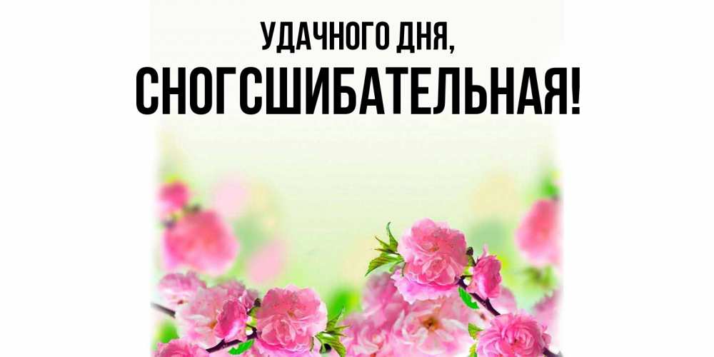 Картинка Удачного дня, сногсшибательная