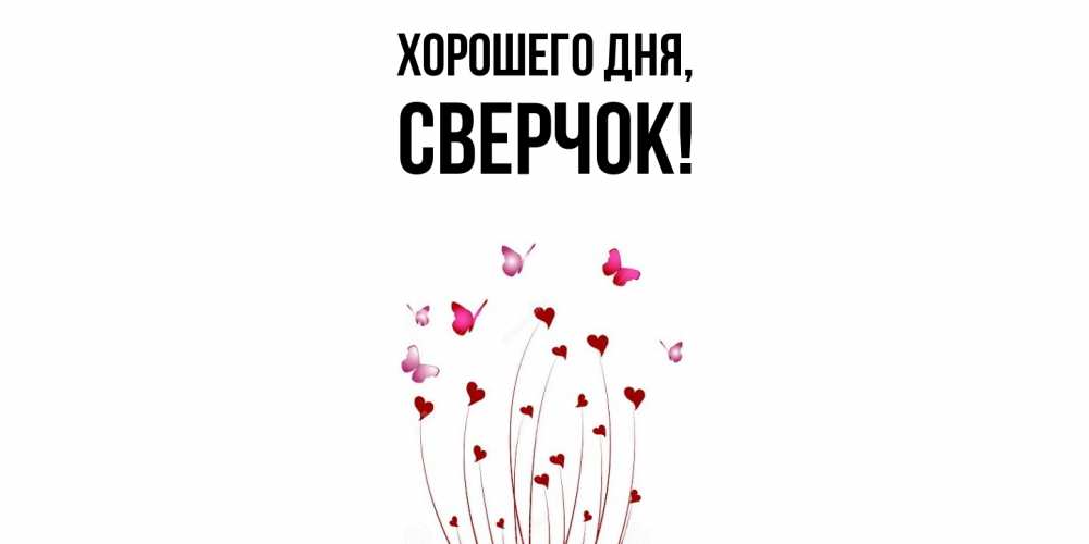 Открытка  для любимых и родных. сверчок, Хорошего дня  