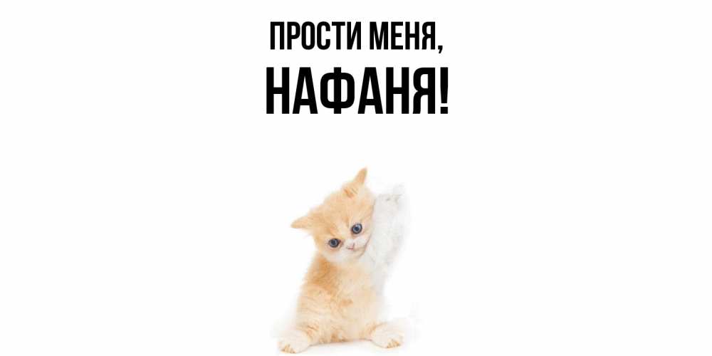 Картинка Прости меня, нафаня