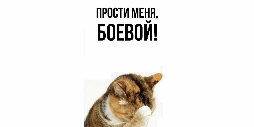 Картинка Прости меня, боевой