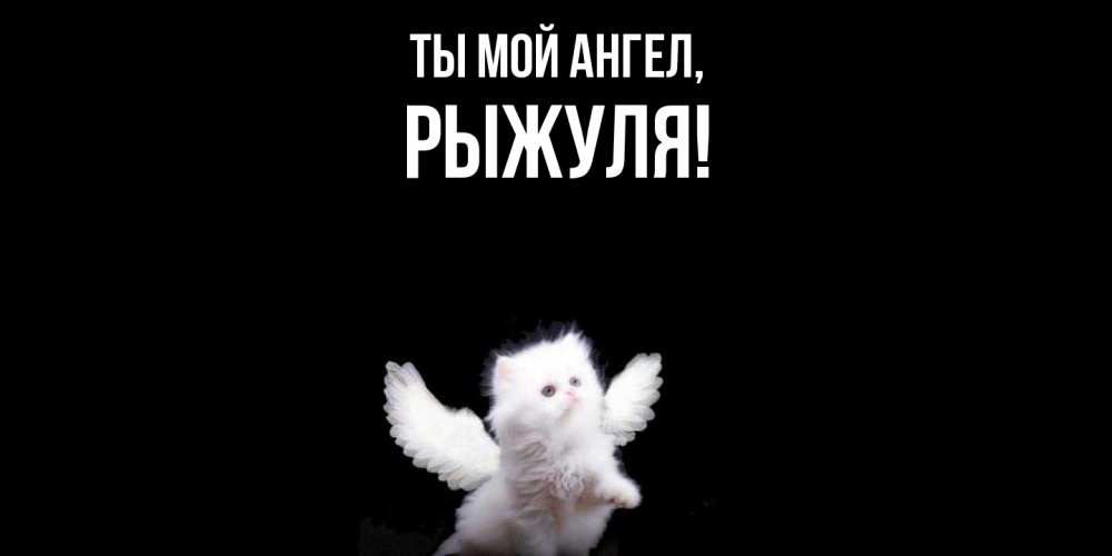 Открытка  для любимых и родных. рыжуля, Ты мой ангел  