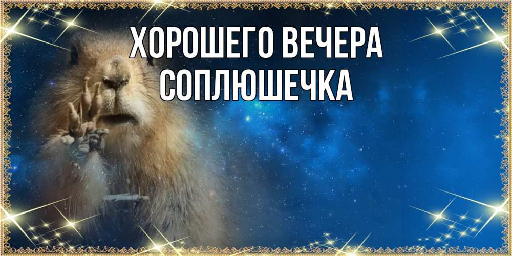 Открытка  для любимых и родных. соплюшечка, Хорошего вечера  