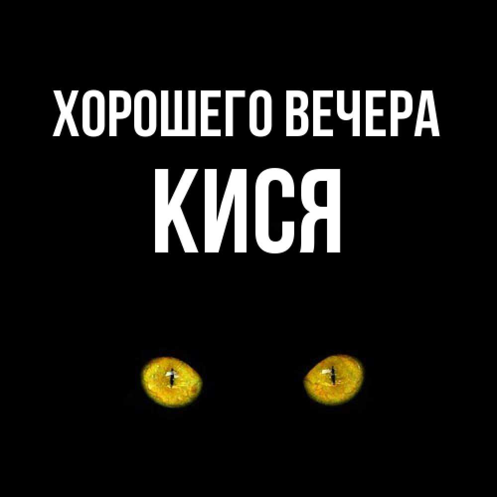 Открытка  для любимых и родных. кися, Хорошего вечера  