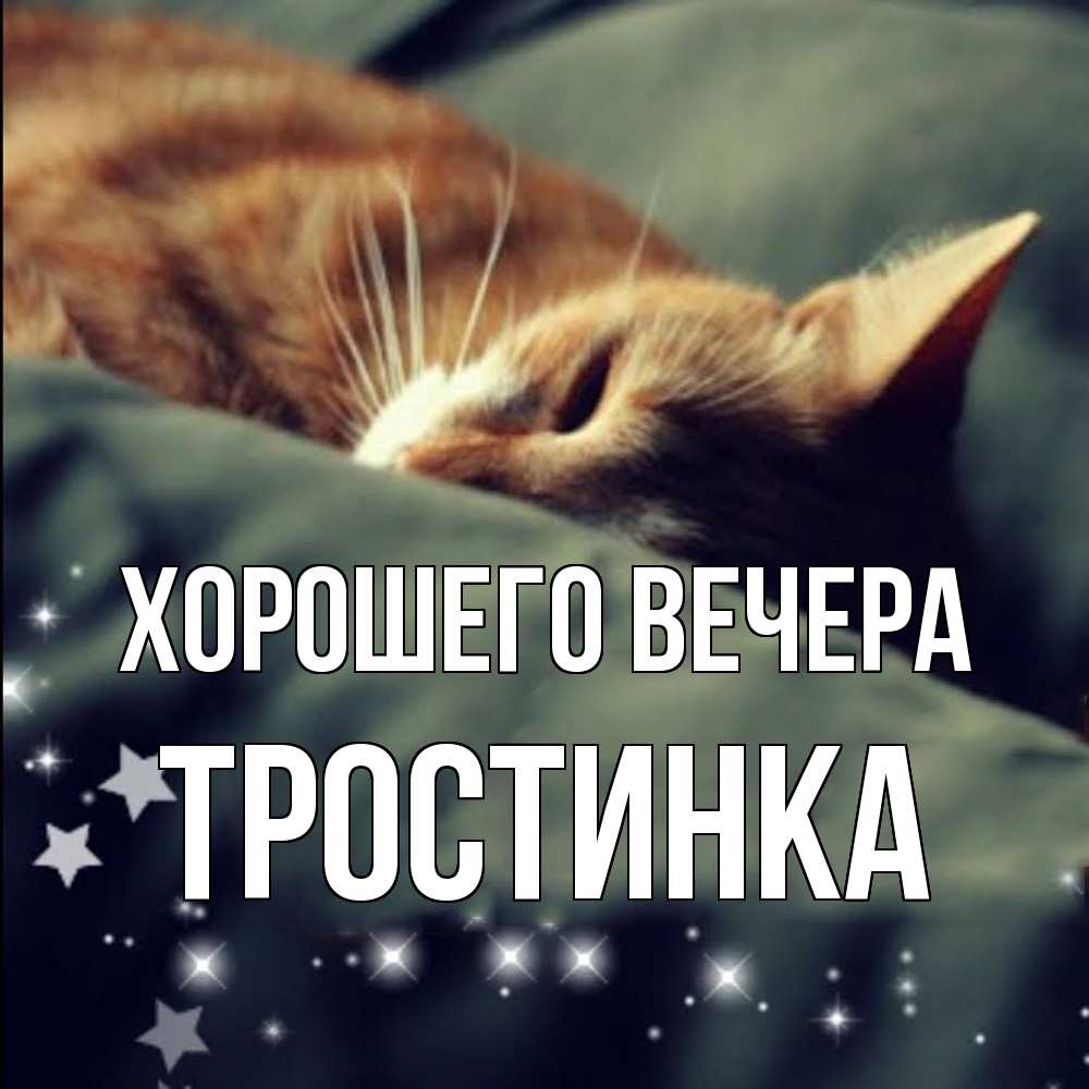 Открытка  для любимых и родных. тростинка, Хорошего вечера  