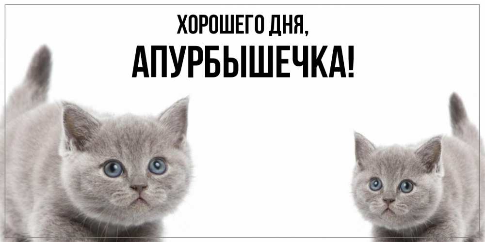 Картинка Хорошего дня, апурбышечка